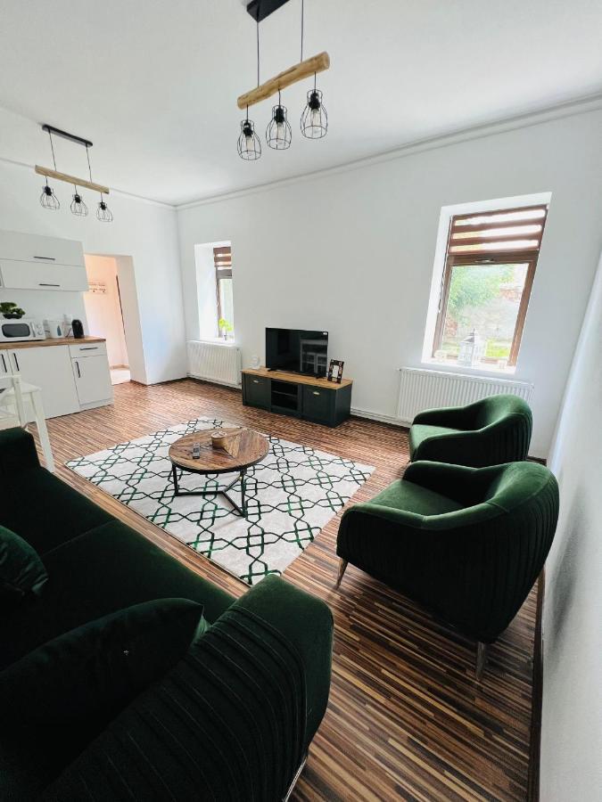 Apartament In Regim Hotelier King Mediaş Εξωτερικό φωτογραφία